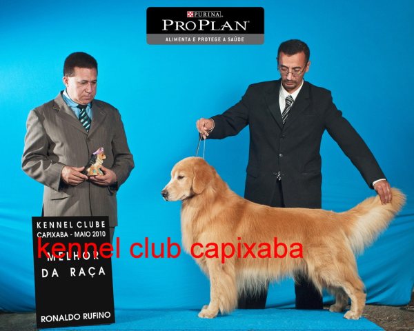 Clique sobre a foto para fechar